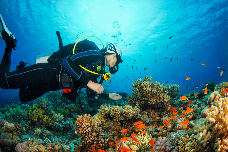 person scuba diving