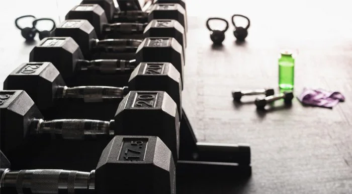 weights rack in the gym