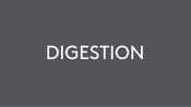 Digestion