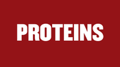 Protein